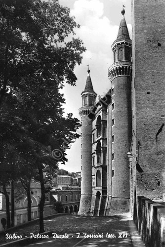 Cartolina Urbino Palazzo Ducale 1965