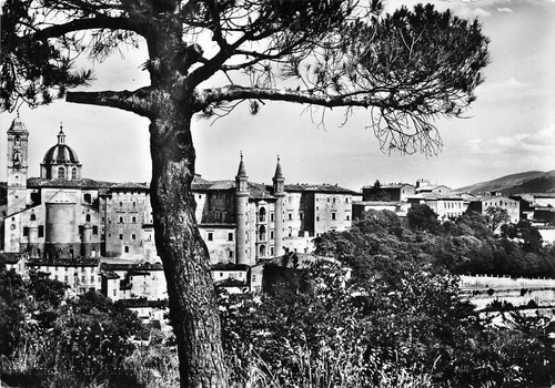 Cartolina Urbino Panorama 1960