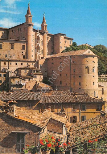 Cartolina Urbino scorcio dei Torricini 1997