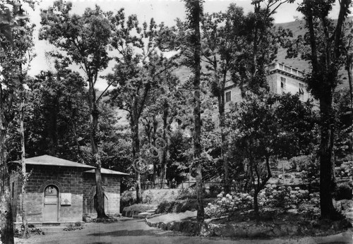 Cartolina Uscio Colonia Carlo Arnaldi 1955