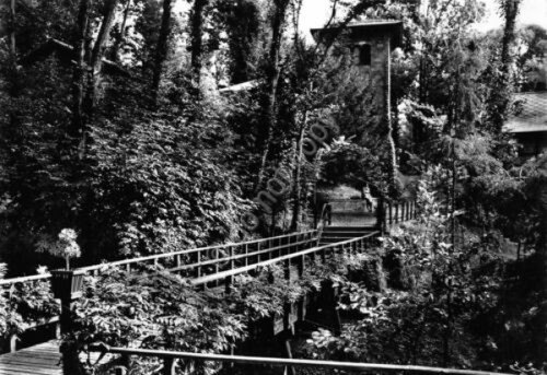 Cartolina Uscio Colonia della salute Carlo Arnaldi Ponticello 1955