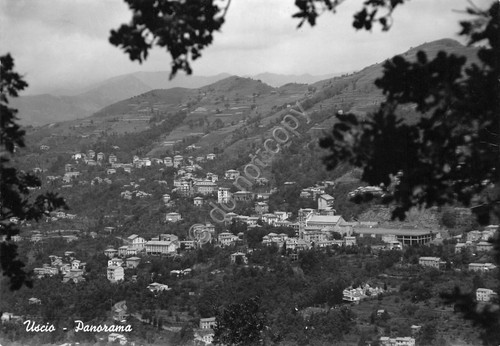 Cartolina Uscio Panorama 1961