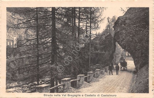 Cartolina Val Bregaglia strada e Castello Castelmuro animata carrozza
