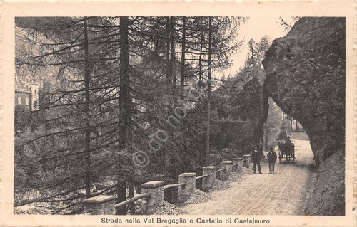 Cartolina Val Bregaglia strada e Castello Castelmuro animata carrozza
