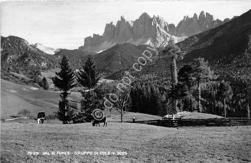Cartolina Val di Funes Gruppo di Odle anni '50