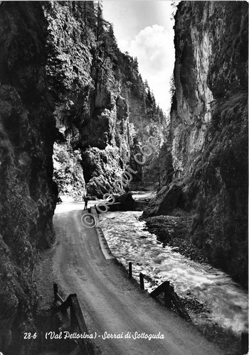 Cartolina Val Pettorina Serrai di Sottoguida 1957 Foto Ghedina (Belluno)