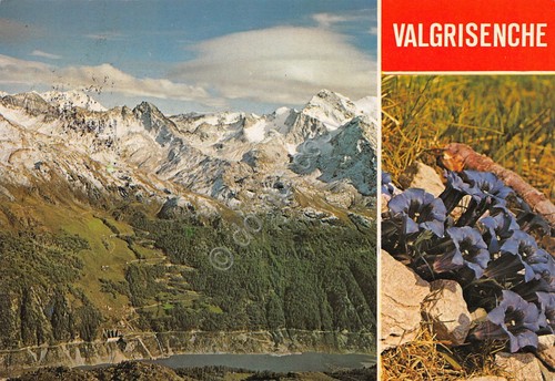 Cartolina Valgrisanche Vallone di Plautaz Diga di Beauregard Grande Rousse …