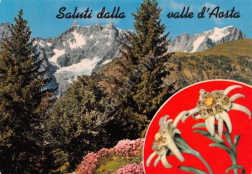 Cartolina Valle d'Aosta panorama montagne e stelle alpine