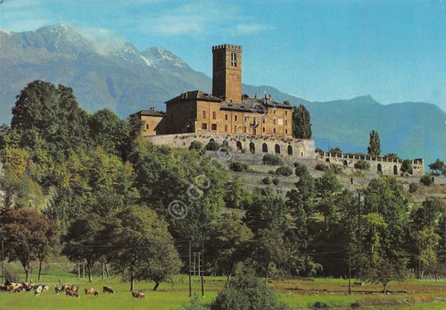 Cartolina Valle d' Aosta Sarre Castello dal basso pascolo mucche