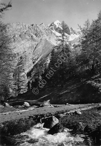 Cartolina Valle Gimont 1954 ruscello monte