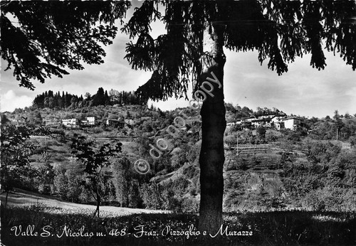 Cartolina Valle S. NIcolao Frazioni Pizzoglio e Murazze 1961