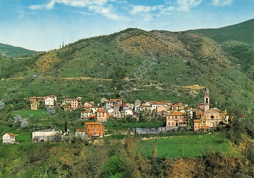 Cartolina Vallenzona Panorama e case
