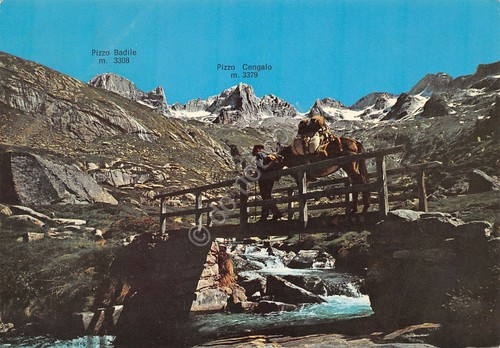 Cartolina Valmasino Veduta Alpe Porcelizzo