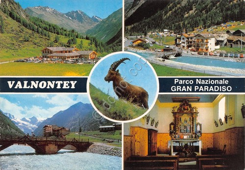 Cartolina Valnontey vedute varie e stambecco (Aosta)