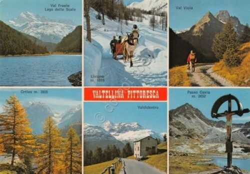 Cartolina Valtellina vedute animata 1981 Timbro Camping Stelvio Cepina (Sondrio)