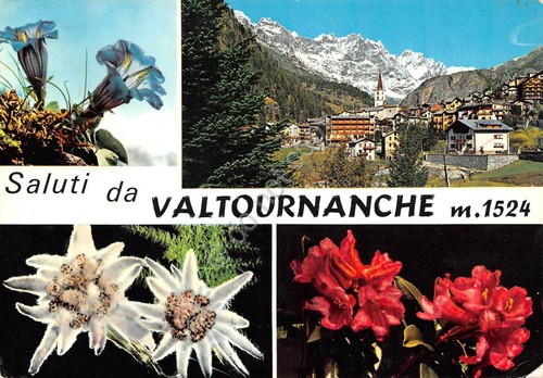 Cartolina Valtournanche 4 vedute fiori 1964 (Aosta)