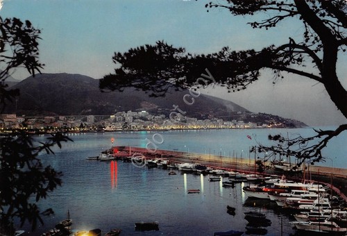 Cartolina Varazze Porto e panorama Notturno 1978 (Savona)