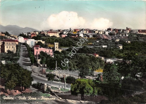 Cartolina Velletri Viale Roma Panorama 1961 (Como)