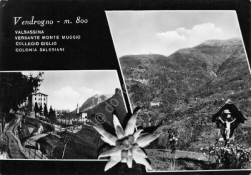 Cartolina Vendrogno vedute varie stella alpina 1955