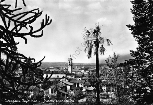 Cartolina Venegono Inferiore Panorama parziale 1960