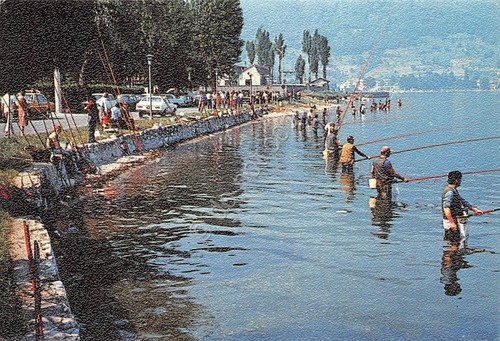 Cartolina Vercurago Gara di pesca