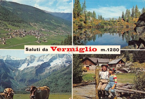 Cartolina Vermiglio 4 vedute panorama animata mucche