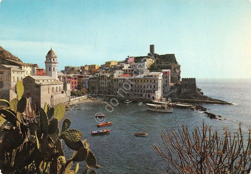 Cartolina Vernazza Baia dei panfili dall'alto
