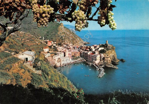 Cartolina Vernazza Panorama (La Spezia)