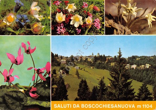 Cartolina Verona Boscochiesanuova vedutine 1973