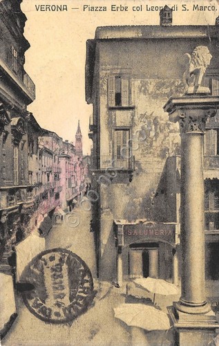 Cartolina Verona Piazza delle Erbe con Leone di San Marco …