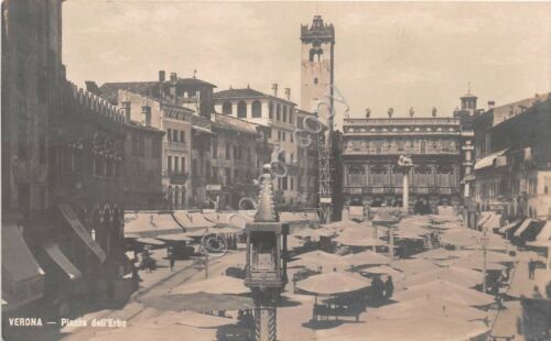 Cartolina Verona Piazza delle Erbe Mercato NVG