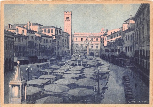 Cartolina Verona Piazza Erbe Mercato Illustrata