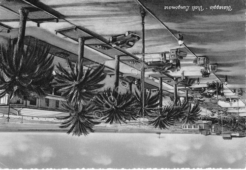 Cartolina Viareggio - Viali Lungomare - auto - NVG Illustrata …