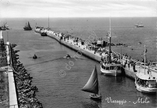 Cartolina Viareggio Molo Barche 1956
