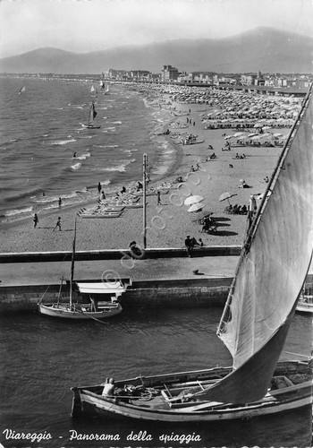Cartolina Viareggio Panorama spiaggia 1951 (Lucca)