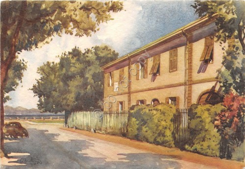 Cartolina Viareggio Torre del Lago Puccini Illustrata Frattini (Lucca)