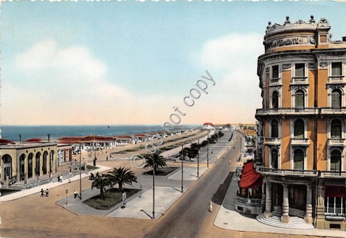 Cartolina Viareggio Viale Litoraneo