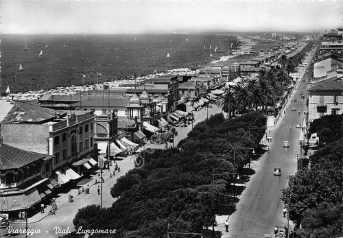 Cartolina Viareggio Viali Lungomare 1954 (Lucca)