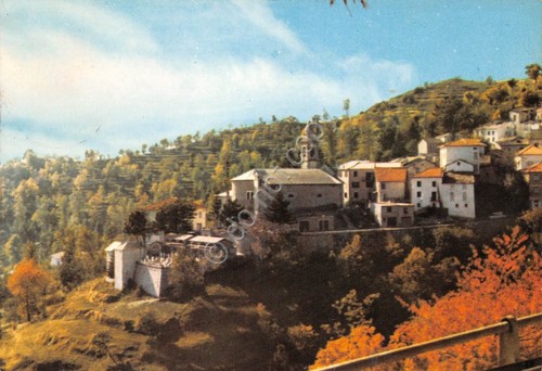 Cartolina Vicosoprano panorama parziale 1976