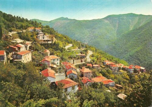 Cartolina Viganego Esarcato di Bargagli panorama 1970