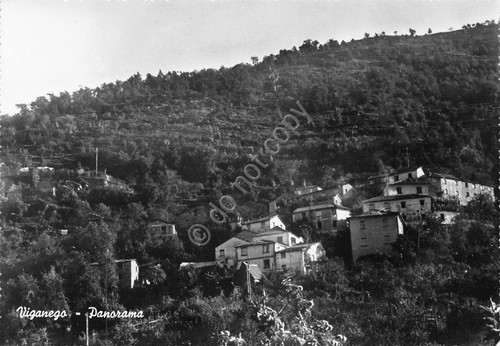 Cartolina Viganego Panorama