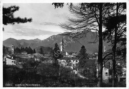 Cartolina Viggiù panorama parziale 1956