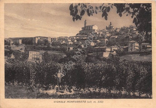 Cartolina Vignale Monferrato panorama contadino con oche 1955