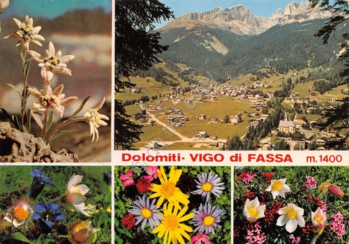 Cartolina Vigo di Fassa vedute varie e fiori (Trento)