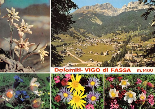Cartolina Vigo di Fassa vedute vedute varie panorama e fiori …