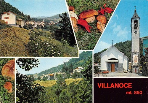Cartolina Villanoce vedute chiesa funghi panorama 1981