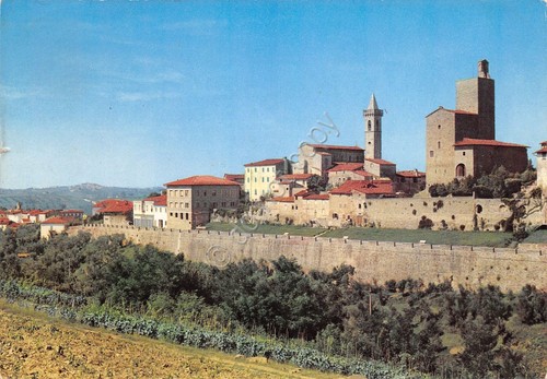 Cartolina Vinci Panorama timbro Museo Vinciano 1967 (Firenze)