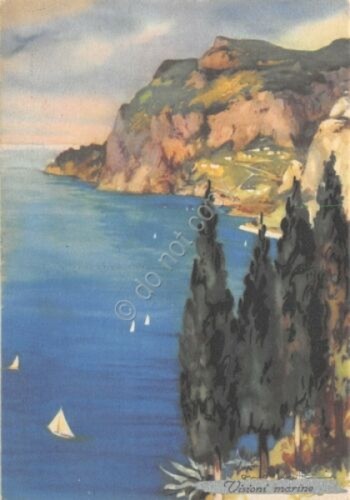 Cartolina Visoni Marine panorama mare dall'alto Illustrata Frattini