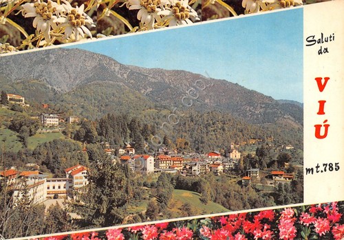 Cartolina Viù panorama con fiori 1975