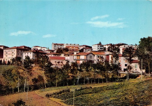 Cartolina Zocca Panorama 1968
